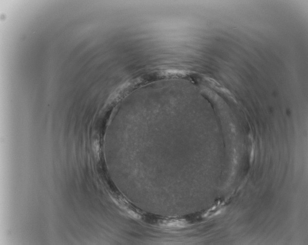 X0000065260716200602211250