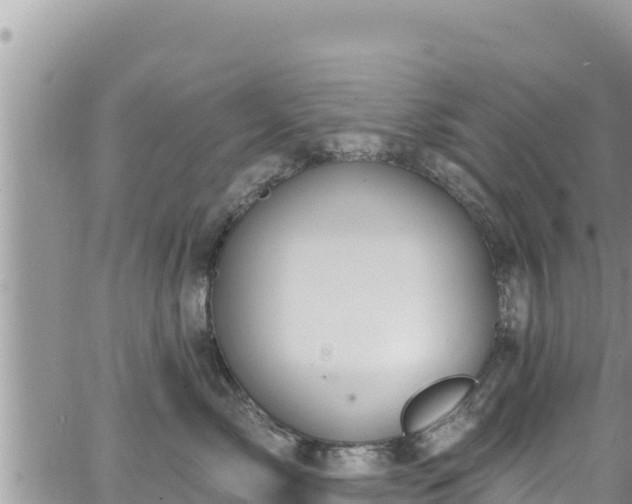 X0000065260717200602211250