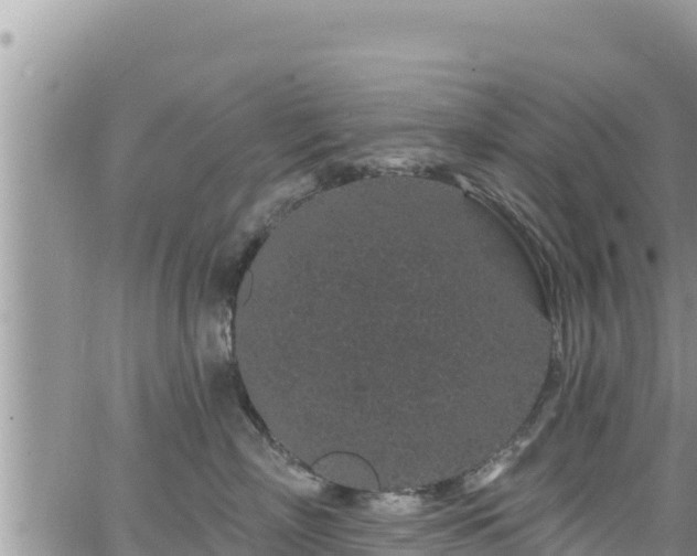 X0000065260718200602211250