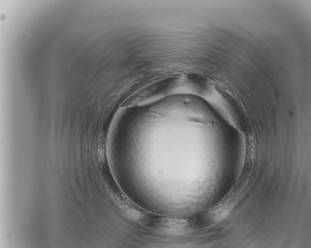 X0000065260719200602211250