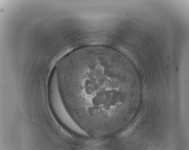 X0000065260721200602211249