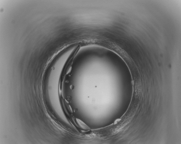 X0000065260722200602211249