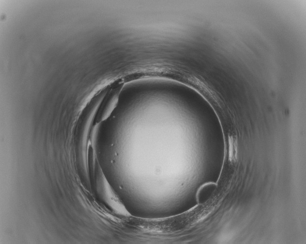 X0000065260723200602211249