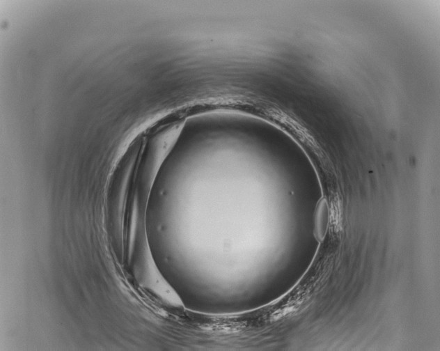 X0000065260724200602211249