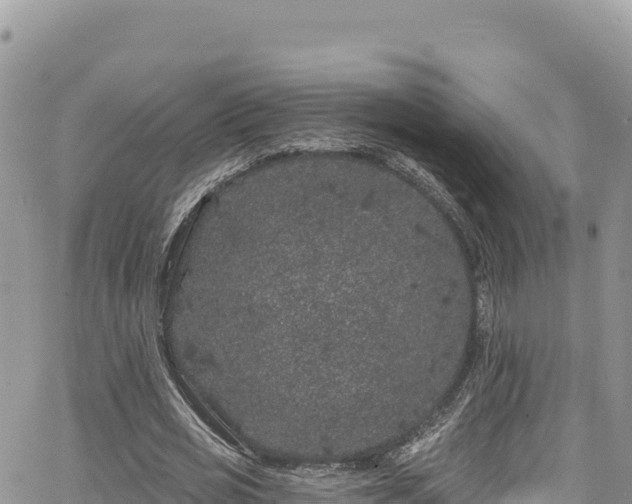 X0000065260725200602211249