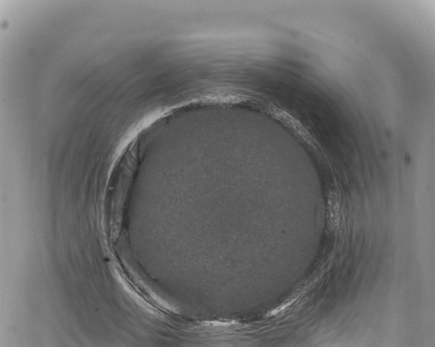 X0000065260726200602211249