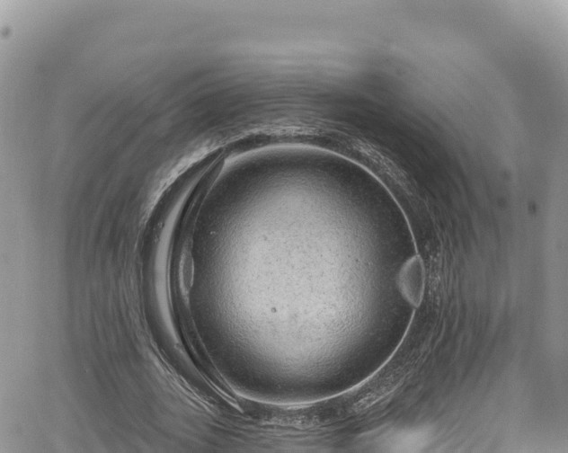 X0000065260727200602211249