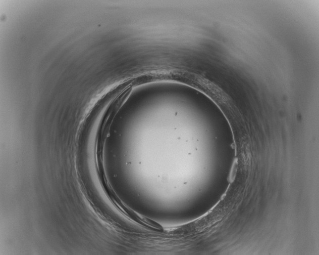 X0000065260728200602211249