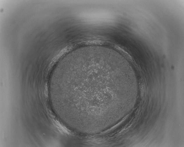 X0000065260729200602211249