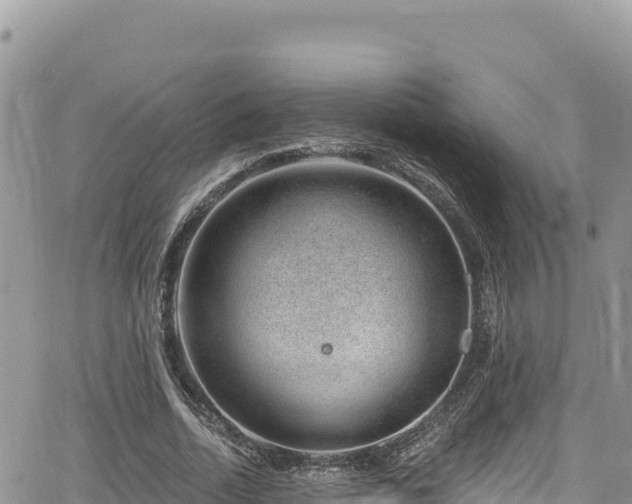 X0000065260730200602211249