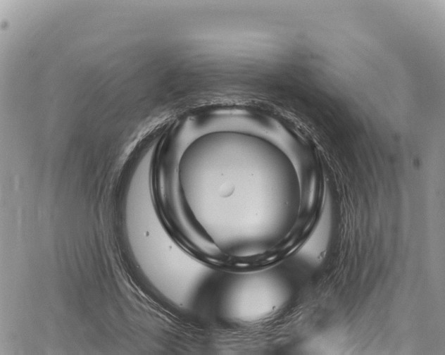 X0000065260731200602211249