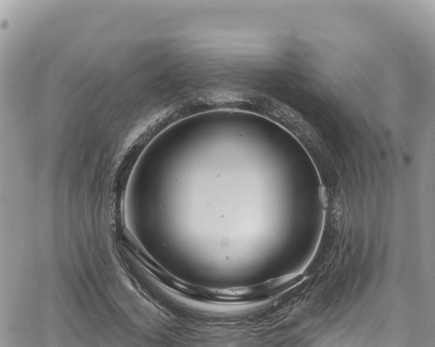 X0000065260732200602211249