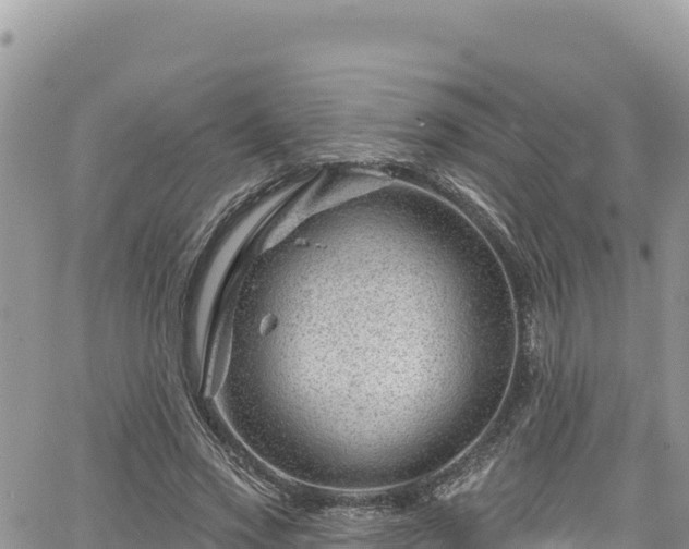 X0000065260733200602211249