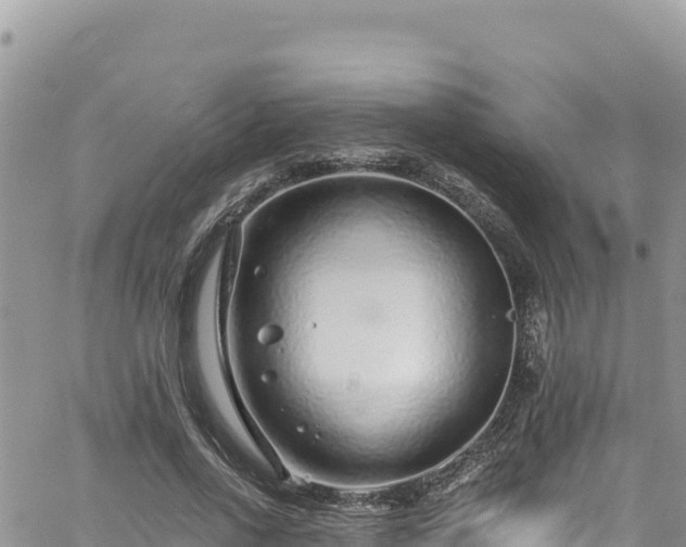 X0000065260734200602211249