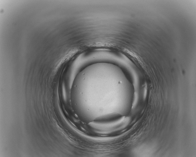 X0000065260735200602211249