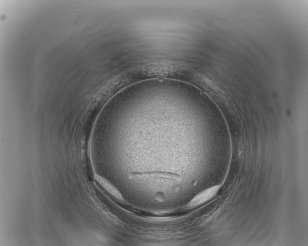 X0000065260737200602211249