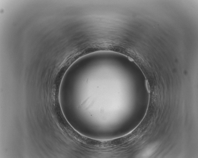 X0000065260739200602211249