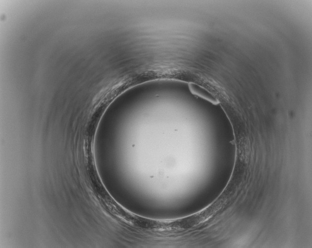 X0000065260740200602211249