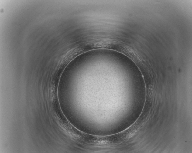 X0000065260741200602211249