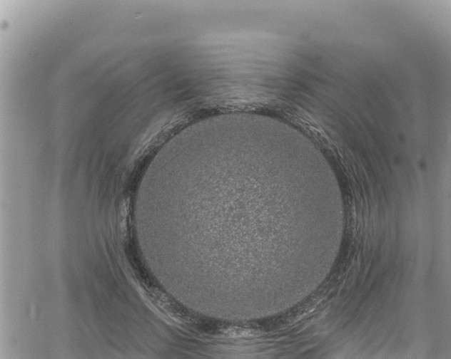 X0000065260742200602211249