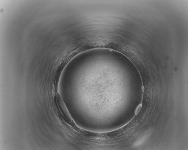 X0000065260743200602211249