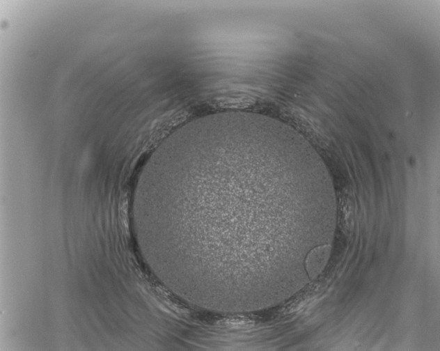 X0000065260745200602211249