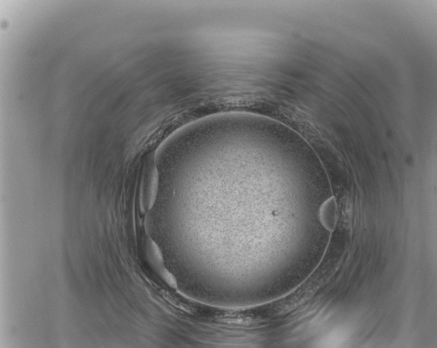 X0000065260746200602211249