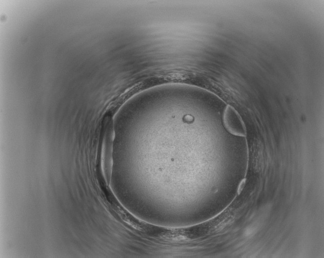 X0000065260747200602211249