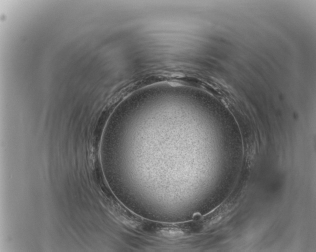 X0000065260749200602211249