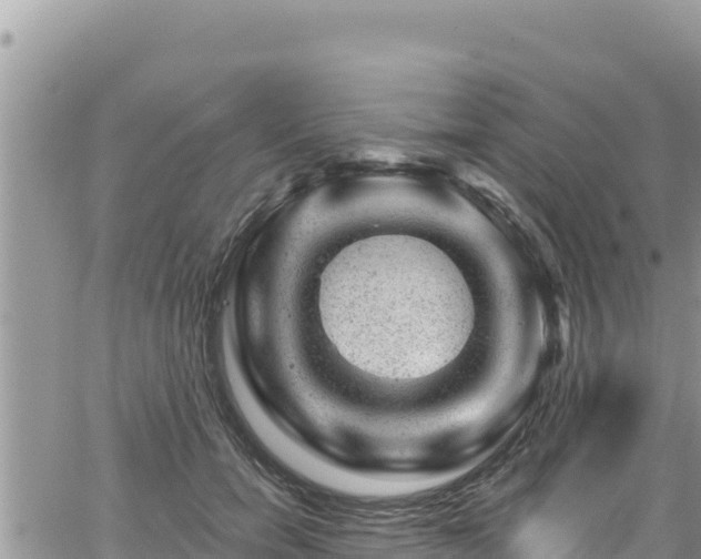 X0000065260750200602211249