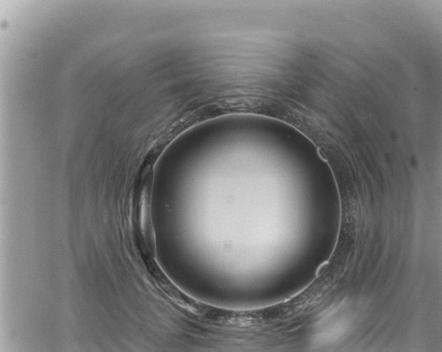 X0000065260751200602211249