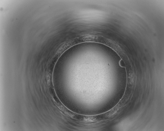 X0000065260753200602211249