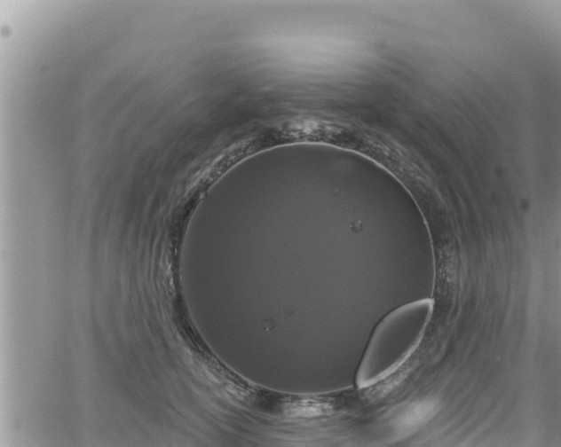 X0000065260754200602211249