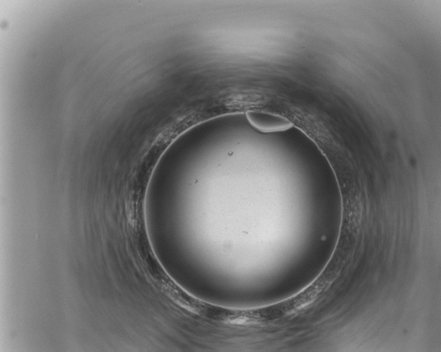 X0000065260755200602211249