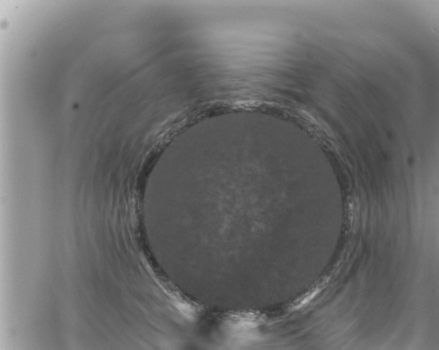 X0000065260757200602211249