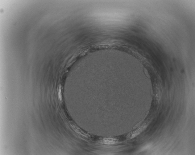 X0000065260758200602211249