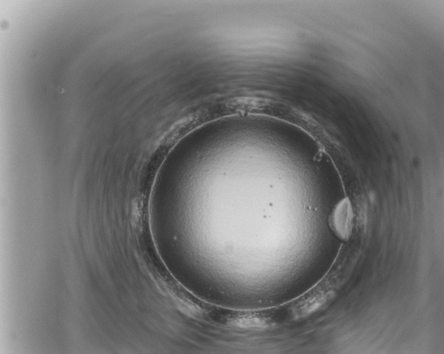 X0000065260759200602211250