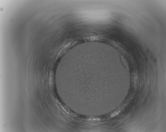 X0000065260760200602211250