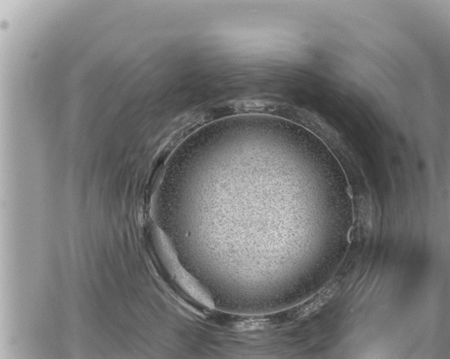 X0000065260761200602211250