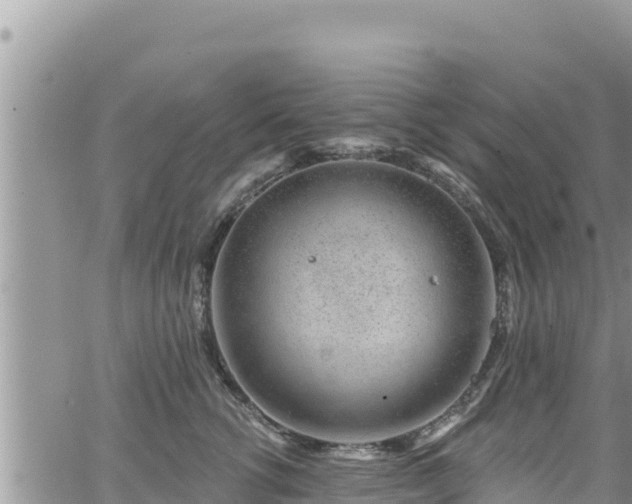 X0000065260762200602211250