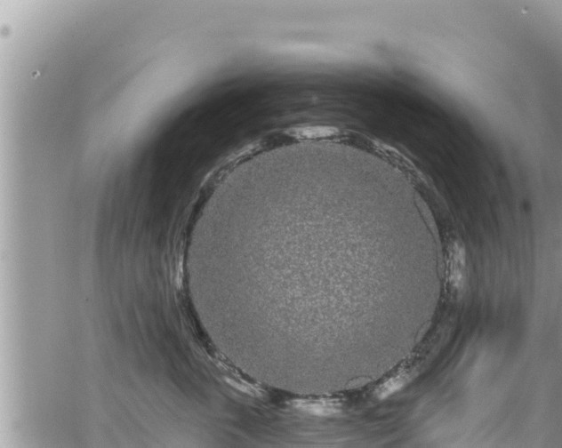 X0000065260763200602211250