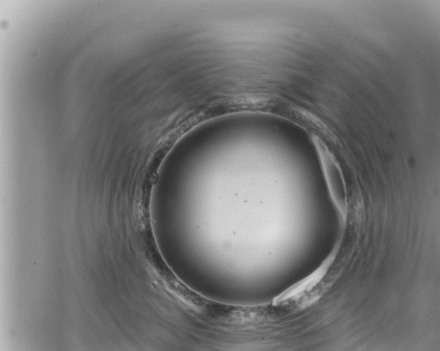 X0000065260764200602211250