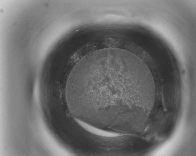 X0000065260765200602211250