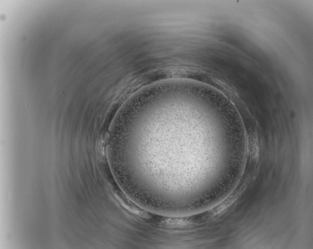 X0000065260766200602211250