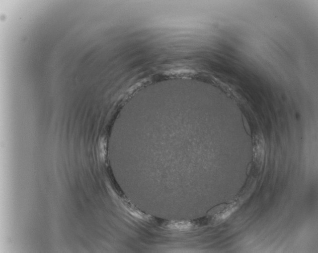 X0000065260767200602211250