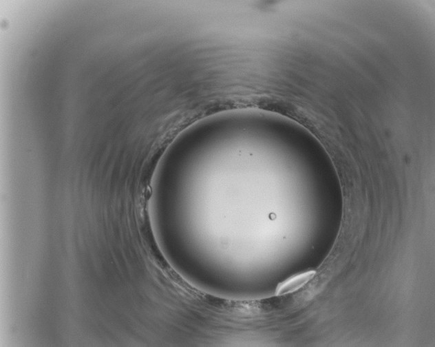 X0000065260768200602211250