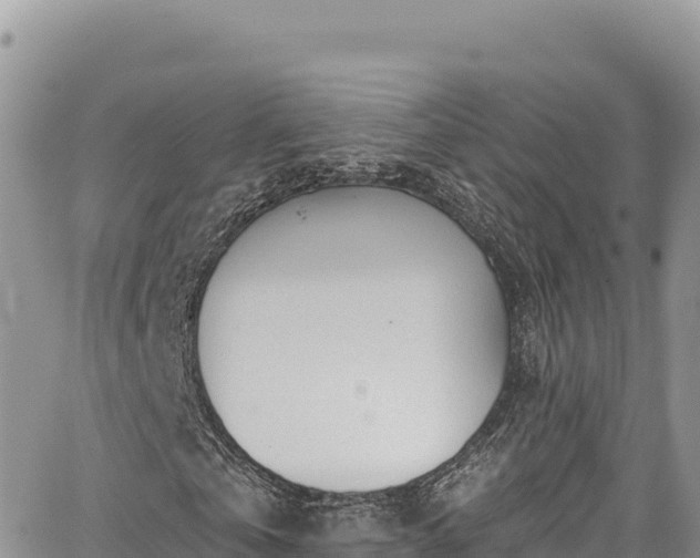 X0000065260769200602211249