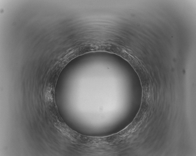 X0000065260770200602211249