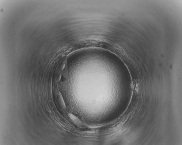 X0000065260771200602211249