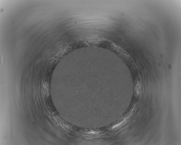 X0000065260772200602211249